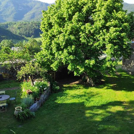 Gîte La Tanière Des Alpes Bayons Esterno foto